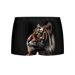 Трусы-боксеры мужские Тигр в Темноте Взгляд Вверх, цвет: 3D-принт