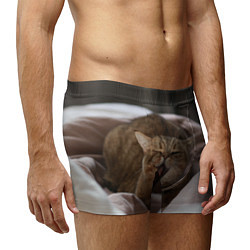 Трусы-боксеры мужские Зевающий кот на кровати, цвет: 3D-принт — фото 2
