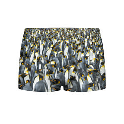Мужские трусы Пингвины Penguins