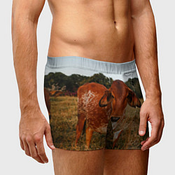 Трусы-боксеры мужские Коровка на поле, цвет: 3D-принт — фото 2