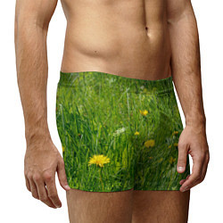 Трусы-боксеры мужские Солнечные одуванчики, цвет: 3D-принт — фото 2