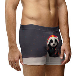 Трусы-боксеры мужские Пёсель - панда в колпаке, цвет: 3D-принт — фото 2