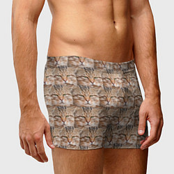 Трусы-боксеры мужские Кот - Гипнокот, цвет: 3D-принт — фото 2