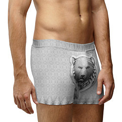 Трусы-боксеры мужские Медведь чёрно-белый барельеф с этническим орнамент, цвет: 3D-принт — фото 2
