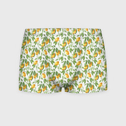 Трусы-боксеры мужские Лимоны на ветках - паттерн, цвет: 3D-принт
