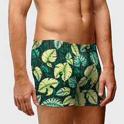 Трусы-боксеры мужские Листья узор тропический, цвет: 3D-принт — фото 2