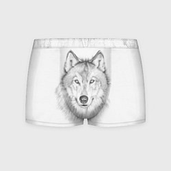 Трусы-боксеры мужские Нарисованный волк зубами щёлк, цвет: 3D-принт