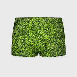 Трусы-боксеры мужские Зелёная трава листья, цвет: 3D-принт