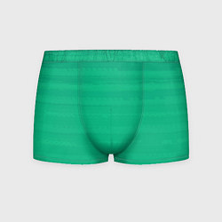 Трусы-боксеры мужские Изумрудный зелёный однотонный с полосами, цвет: 3D-принт