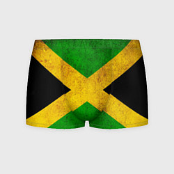 Трусы-боксеры мужские Jamaica flag, цвет: 3D-принт