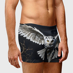 Трусы-боксеры мужские Белая сова на темном фоне, цвет: 3D-принт — фото 2