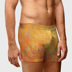 Трусы-боксеры мужские Абстракция - desert sun, цвет: 3D-принт — фото 2