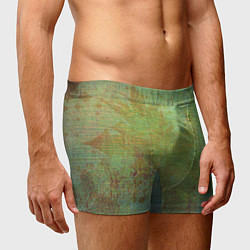 Трусы-боксеры мужские Абстракция - green oil stain, цвет: 3D-принт — фото 2
