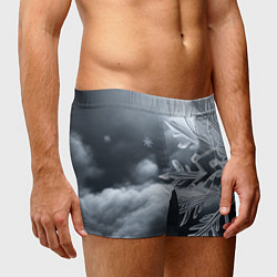 Трусы-боксеры мужские Снежинка на черно белое, цвет: 3D-принт — фото 2