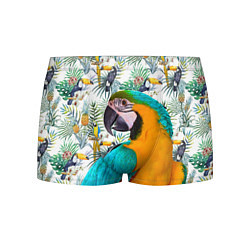 Трусы-боксеры мужские Летний попугай, цвет: 3D-принт