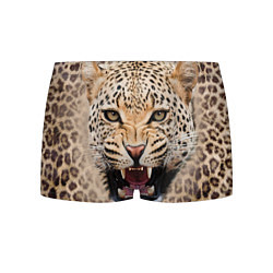 Трусы-боксеры мужские Взгляд леопарда цвета 3D-принт — фото 1