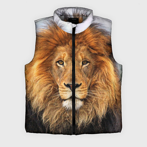 Мужской жилет Красавец лев / 3D-Светло-серый – фото 1