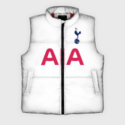 Мужской жилет Tottenham FC: AIA, цвет: 3D-красный