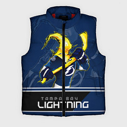 Мужской жилет Bay Lightning