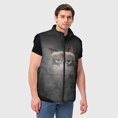 Мужской жилет Grumpy Cat / 3D-Черный – фото 3