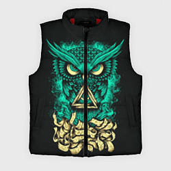Мужской жилет Bring Me The Horizon: Owl, цвет: 3D-красный