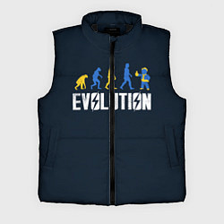 Мужской жилет Vault Evolution, цвет: 3D-черный