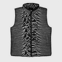 Мужской жилет Joy Division: Unknown Pleasures, цвет: 3D-черный