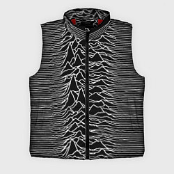 Мужской жилет Joy Division: Unknown Pleasures, цвет: 3D-красный