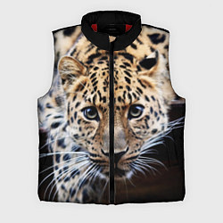 Мужской жилет Дикая кошка, цвет: 3D-красный
