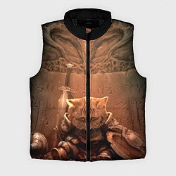 Мужской жилет Довакин, цвет: 3D-черный