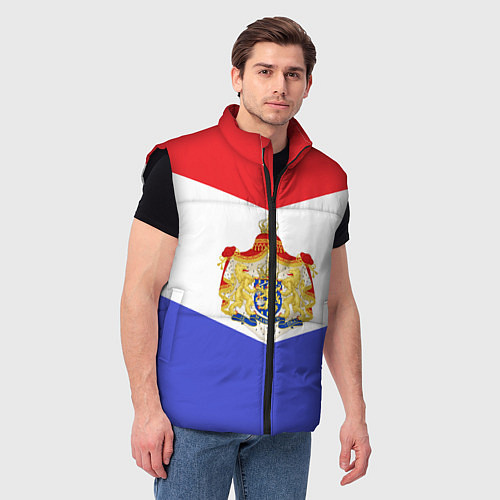 Мужской жилет Флаг и герб Голландии / 3D-Черный – фото 3
