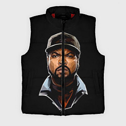 Мужской жилет Ice Cube, цвет: 3D-красный