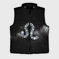 Мужской жилет Космический Лев, цвет: 3D-светло-серый
