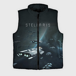 Мужской жилет Stellaris, цвет: 3D-черный