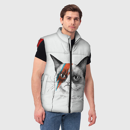 Мужской жилет David Bowie: Grumpy cat / 3D-Красный – фото 3