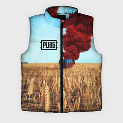 Мужской жилет PUBG Box, цвет: 3D-красный