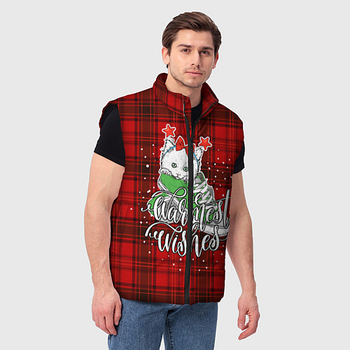Мужской жилет Новогодняя кошка / 3D-Черный – фото 3