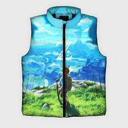 Мужской жилет Z-Link, цвет: 3D-черный