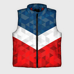 Мужской жилет Форма России, цвет: 3D-красный