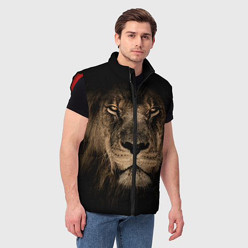 Мужской жилет Львиный взгляд / 3D-Красный – фото 3