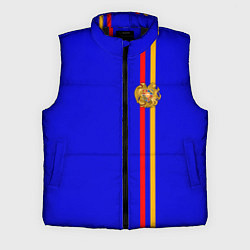 Мужской жилет Армения, цвет: 3D-черный