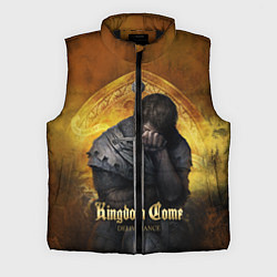 Мужской жилет Kingdom Come: Sad Henry, цвет: 3D-черный