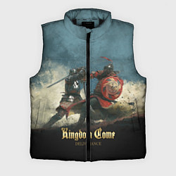 Мужской жилет Kingdom Come: Deliverance, цвет: 3D-черный