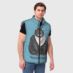 Мужской жилет Черешню неси!, цвет: 3D-светло-серый — фото 2