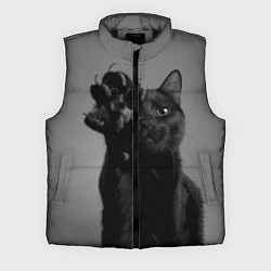Мужской жилет Черный котик, цвет: 3D-черный