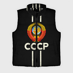 Мужской жилет СССР, цвет: 3D-светло-серый
