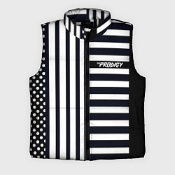 Мужской жилет The Prodigy style, цвет: 3D-черный