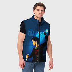 Мужской жилет The Cranberries, цвет: 3D-черный — фото 2