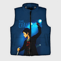 Мужской жилет The Cranberries