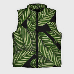 Мужской жилет Тропические большие листья, цвет: 3D-черный